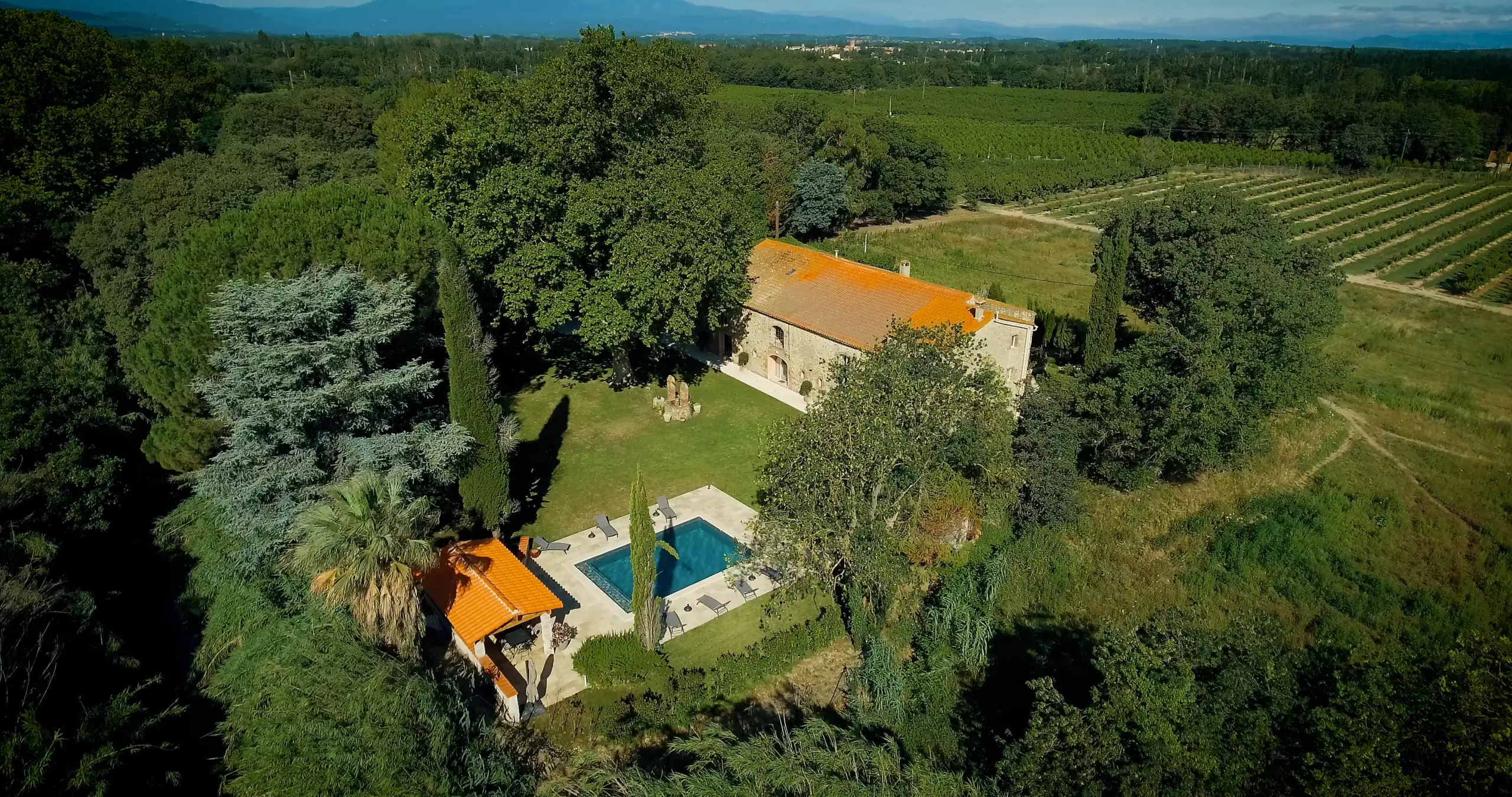 Domaine de Mas Nou Domaine de Mas Nou